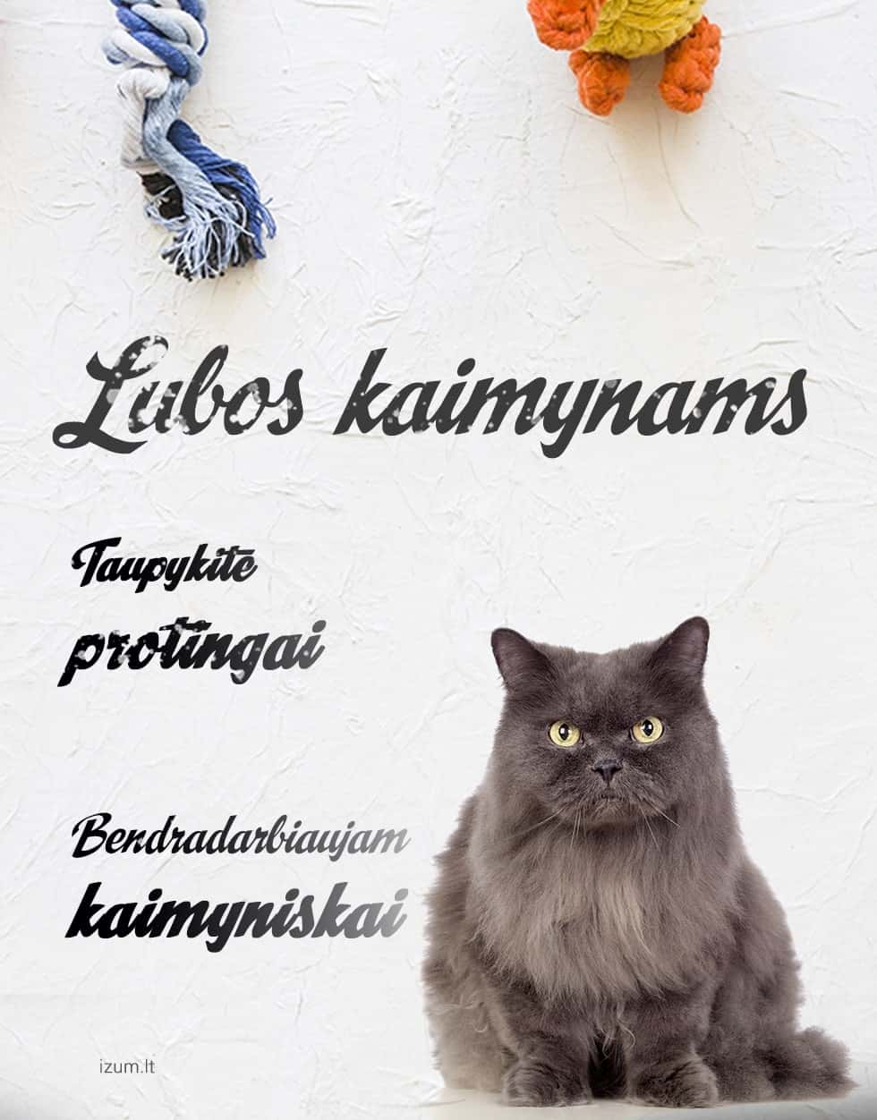 Sužinoti daugiau Sužinoti daugiau